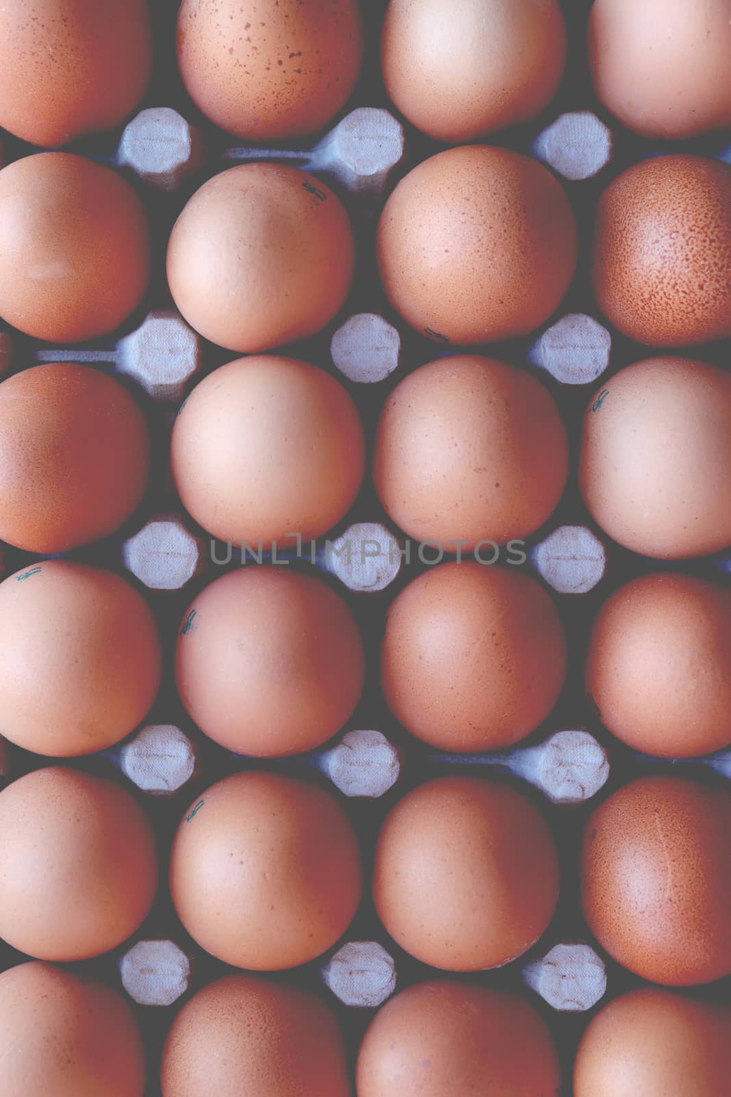 Egg stand filling texture. background. Eggs food products order backdrop.