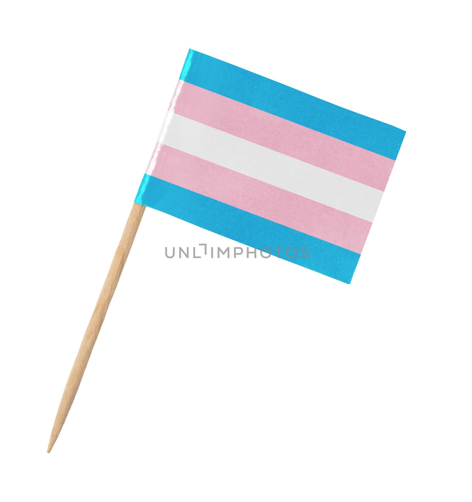 Small paper Transgender flag on wooden stick, isolated on white