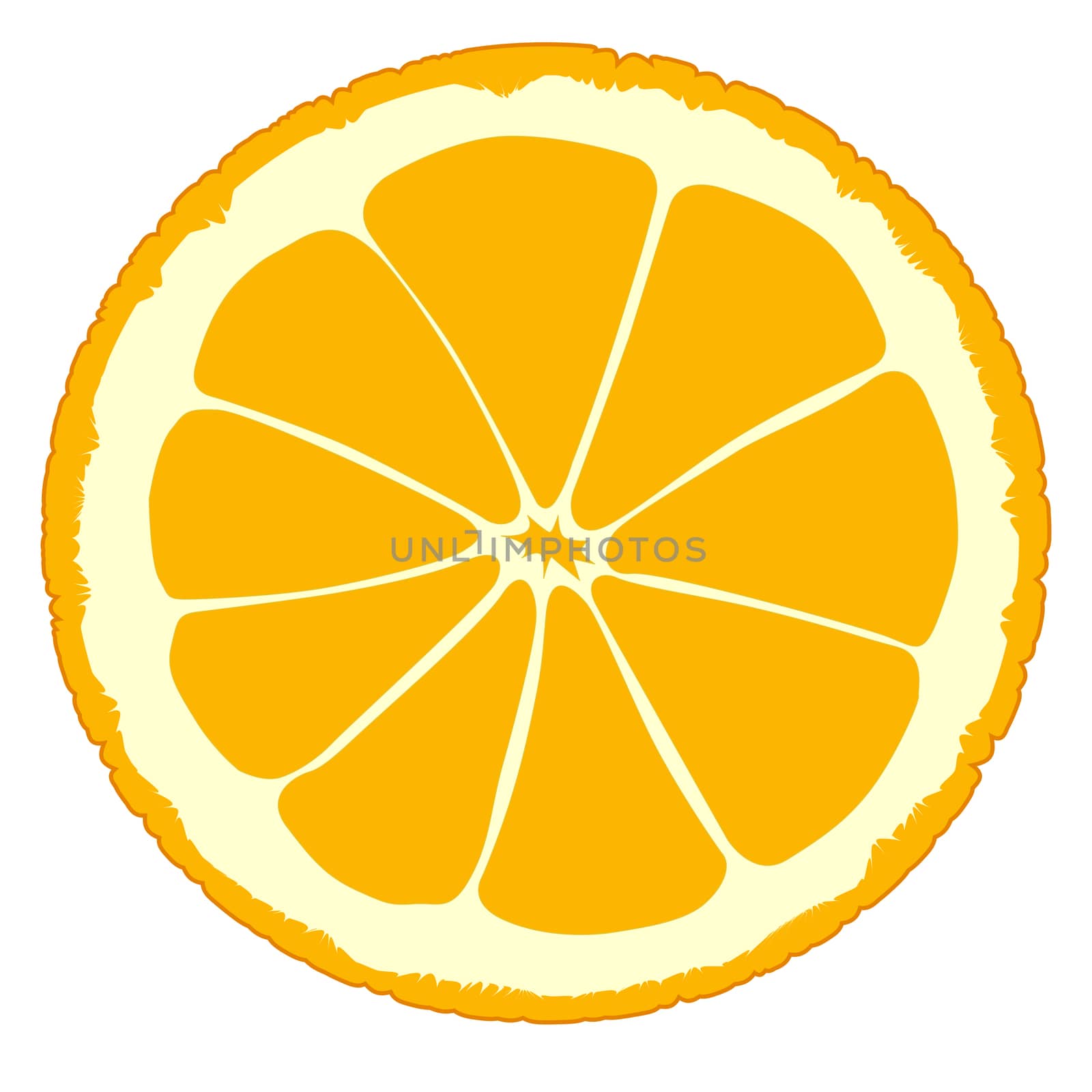 An orange slice isolated over a white background.