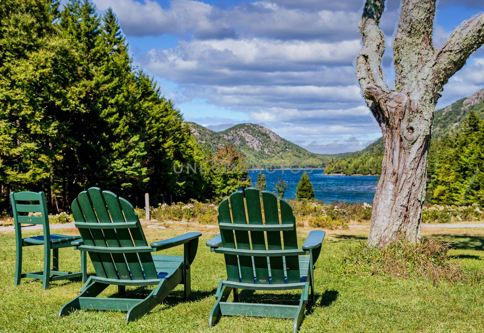 Two green adirondack chairs in a park overlooking a blue lake