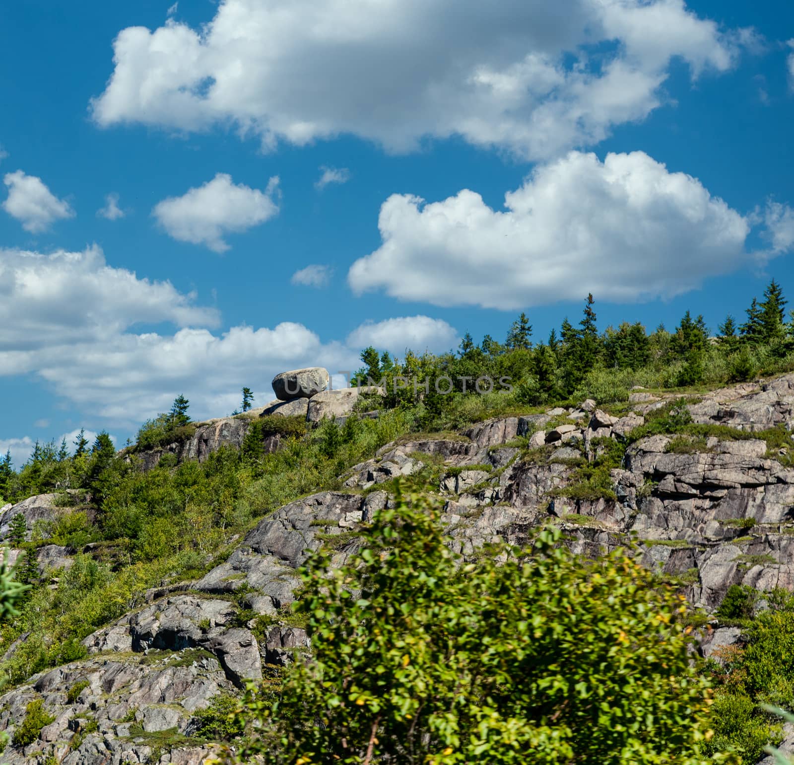 Shrubs and trees on a steep rocky hill under blue skies