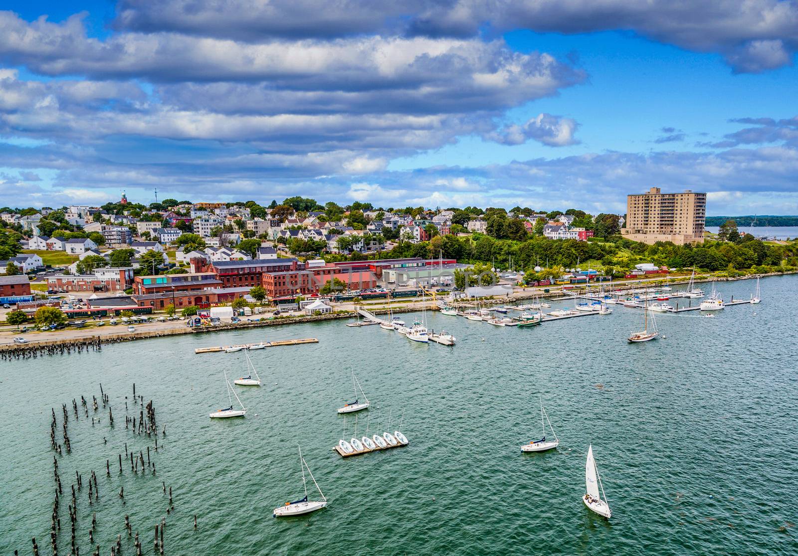 Sailboats Moored in Portland Waterfront by dbvirago