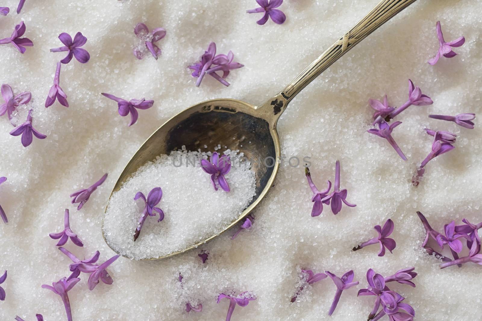 Lilac Sugar In Spoon And Plate On WoodenTable