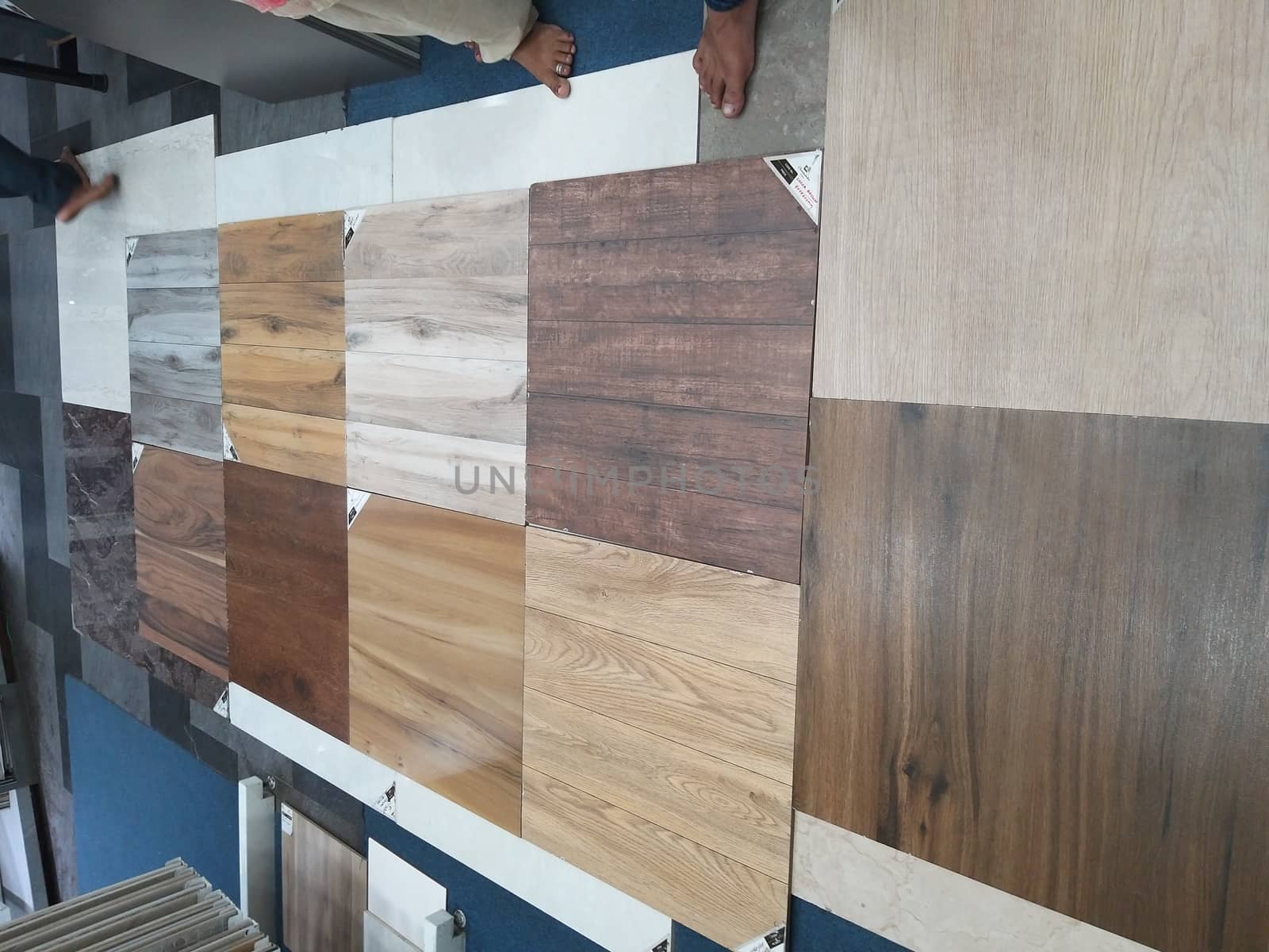 selecting the best plywood
