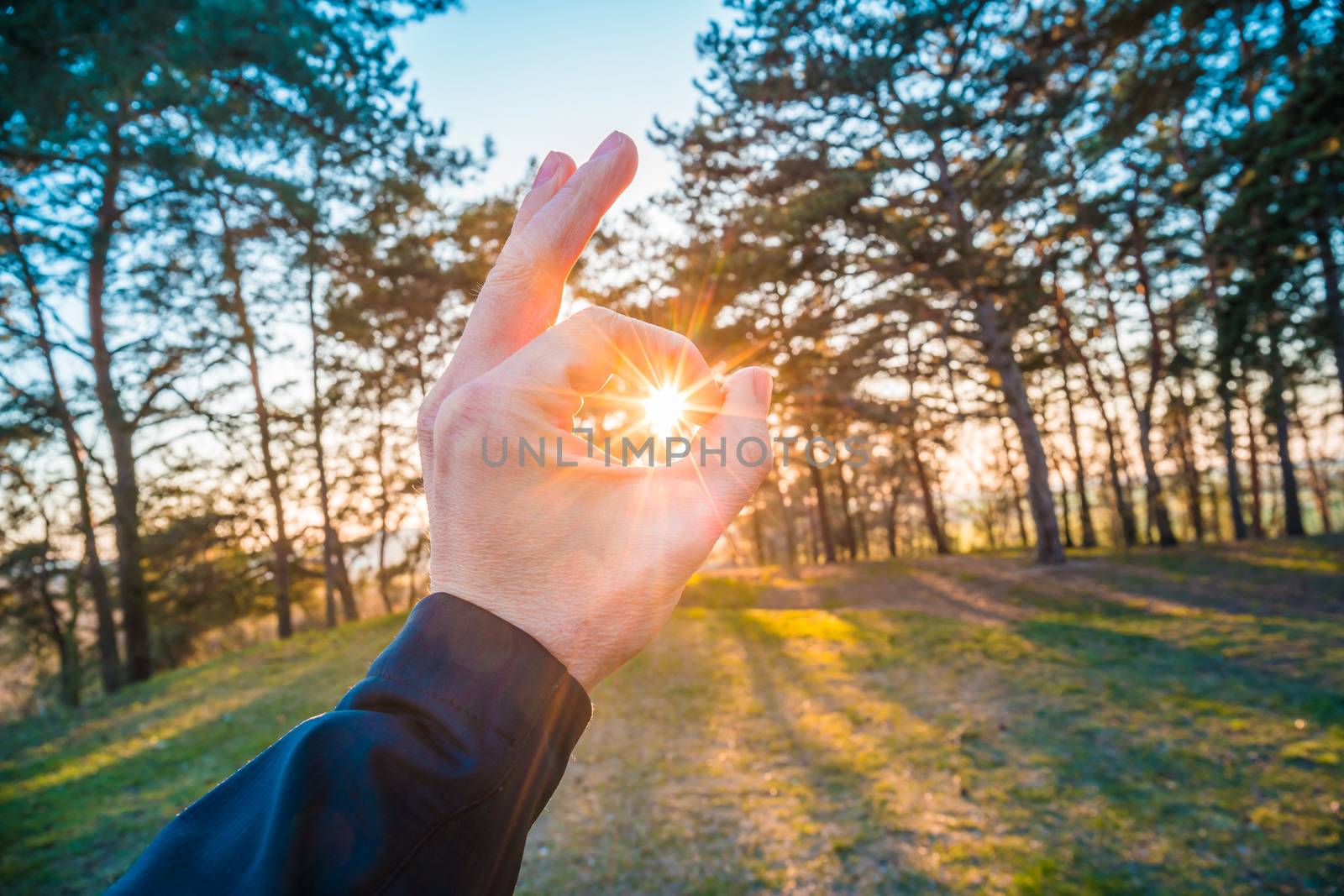 Catching the sun in the forrest. Mans hand reachingd towards the sun. by petrsvoboda91