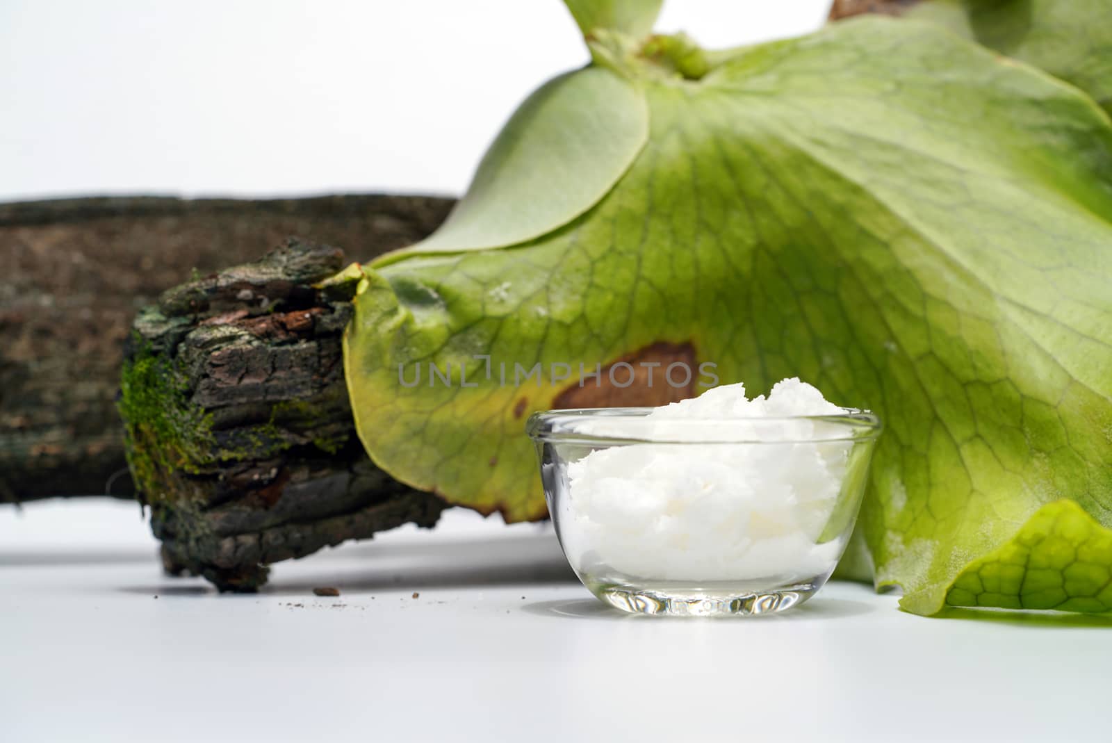 Cetyl esters wax, Chemical used in OTC products and topical pharmaceuticals.