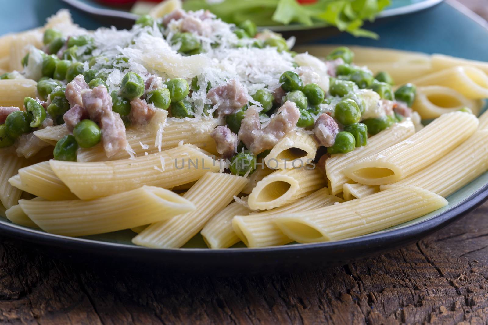 rigatoni emiliana on dark rustic wood