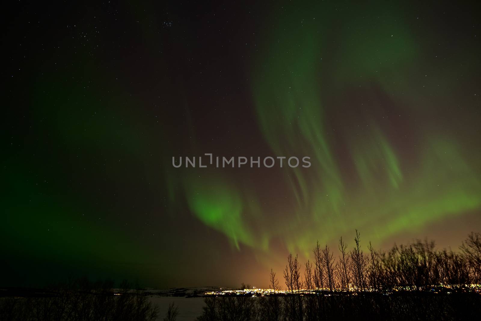 Northern lights from Heidmork, Iceland by LuigiMorbidelli