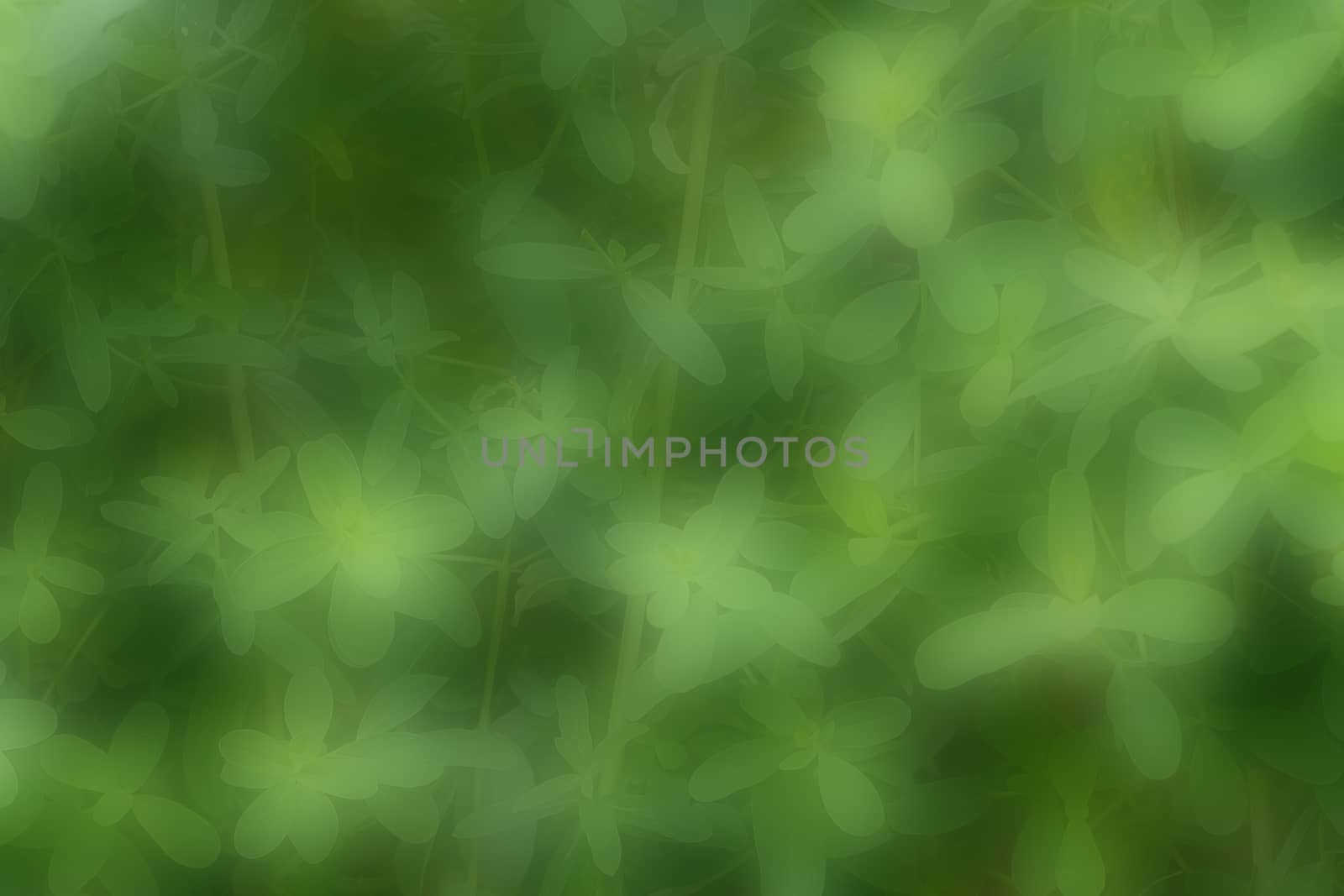 Green leaf background by bonilook
