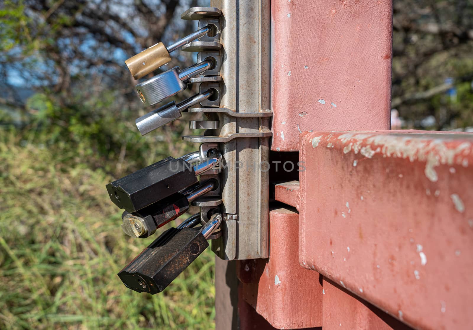 Overkill with six different padlock locks securing a metal gate from being opened