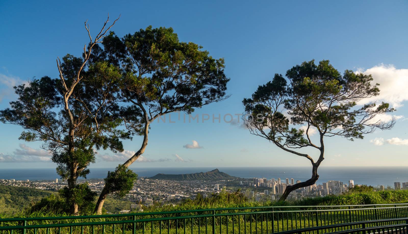 Trees frame panorama over Waikiki, Honolulu and Diamond Head from the Tantalus Overlook on Oahu, Hawaii
