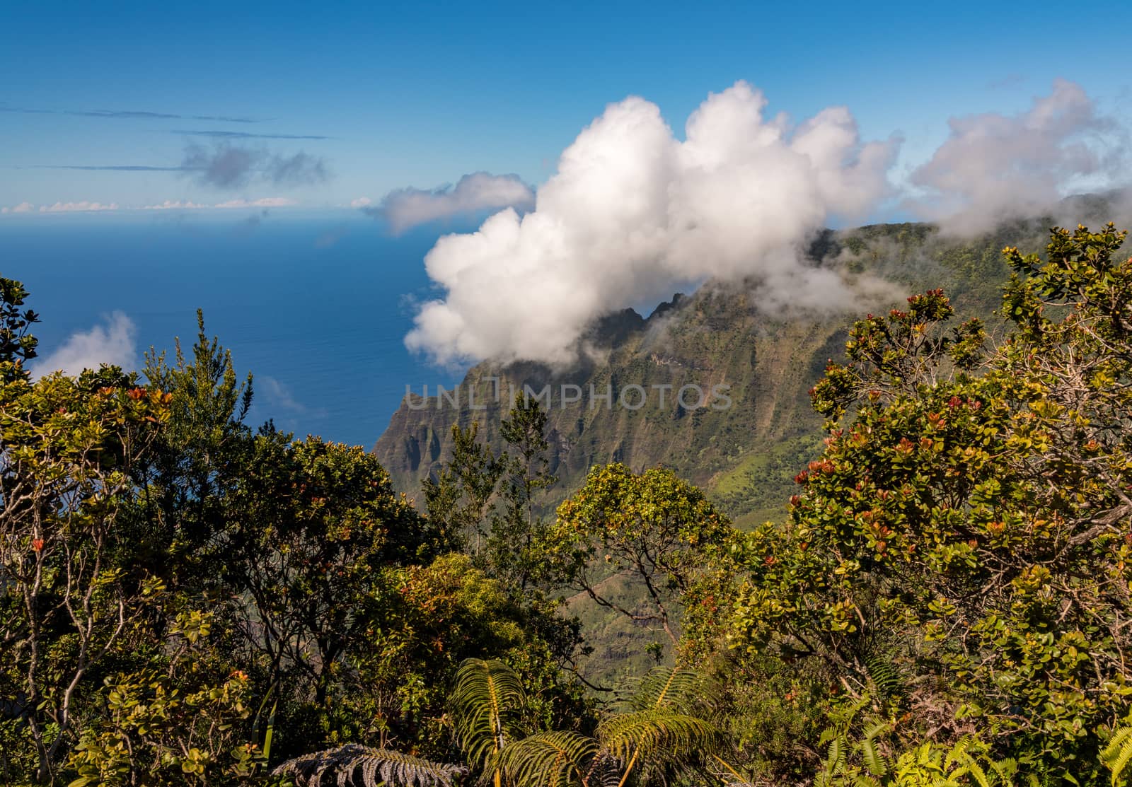 Fluted rocks of the Na Pali mountains with clouds forming over the peaks from Kalalau lookout on Kauai