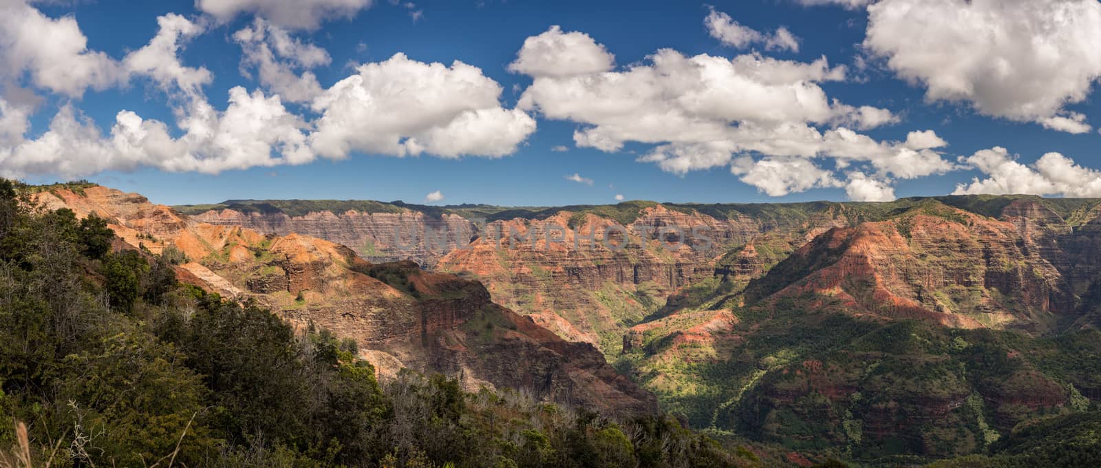 Panorama of the Waimea Canyon from the Iliau Nature loop on Kauai, Hawaii by steheap