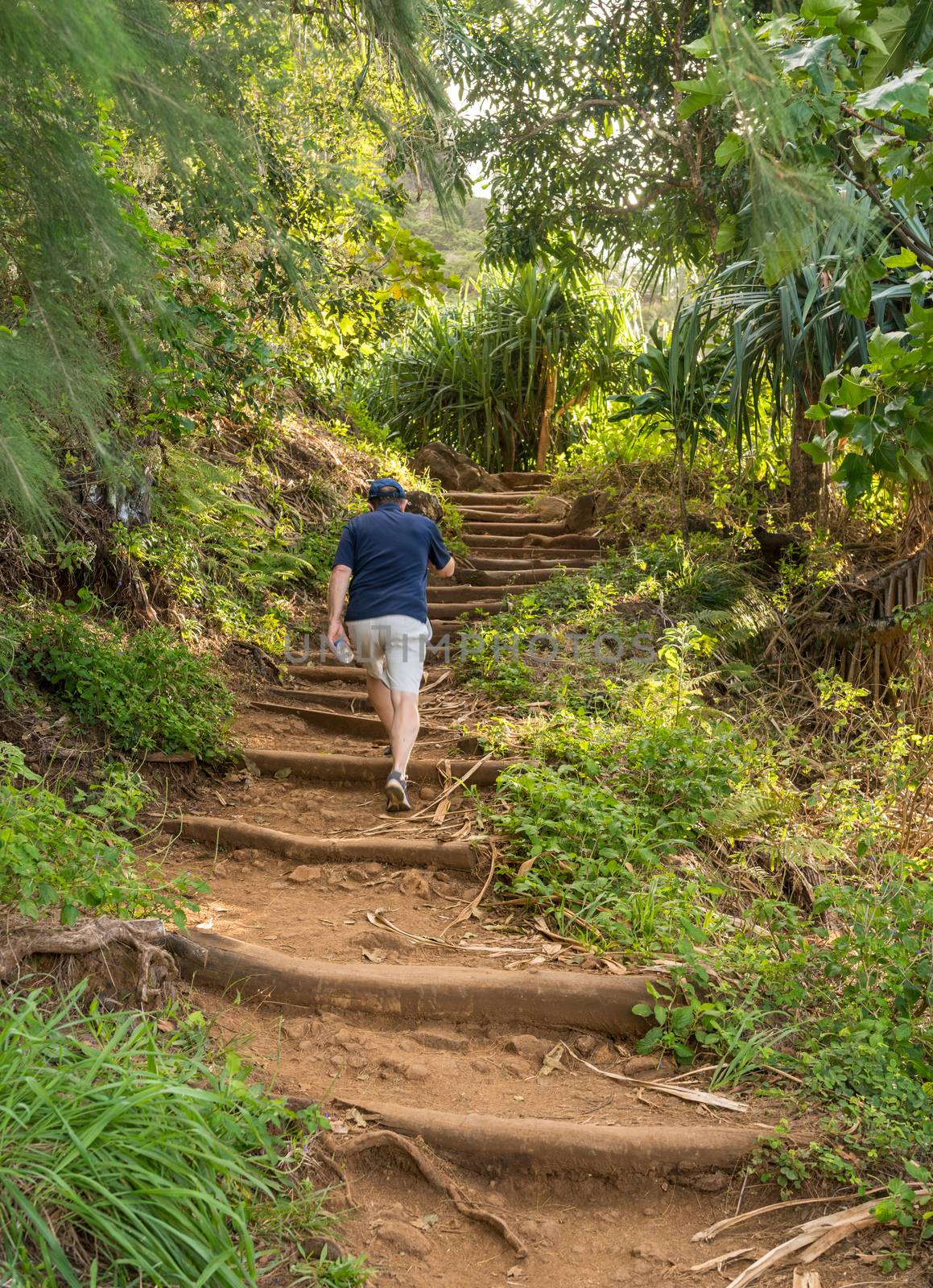 Steep steps in the dirt path of Kalalau trail on Na Pali coast of Kauai by steheap