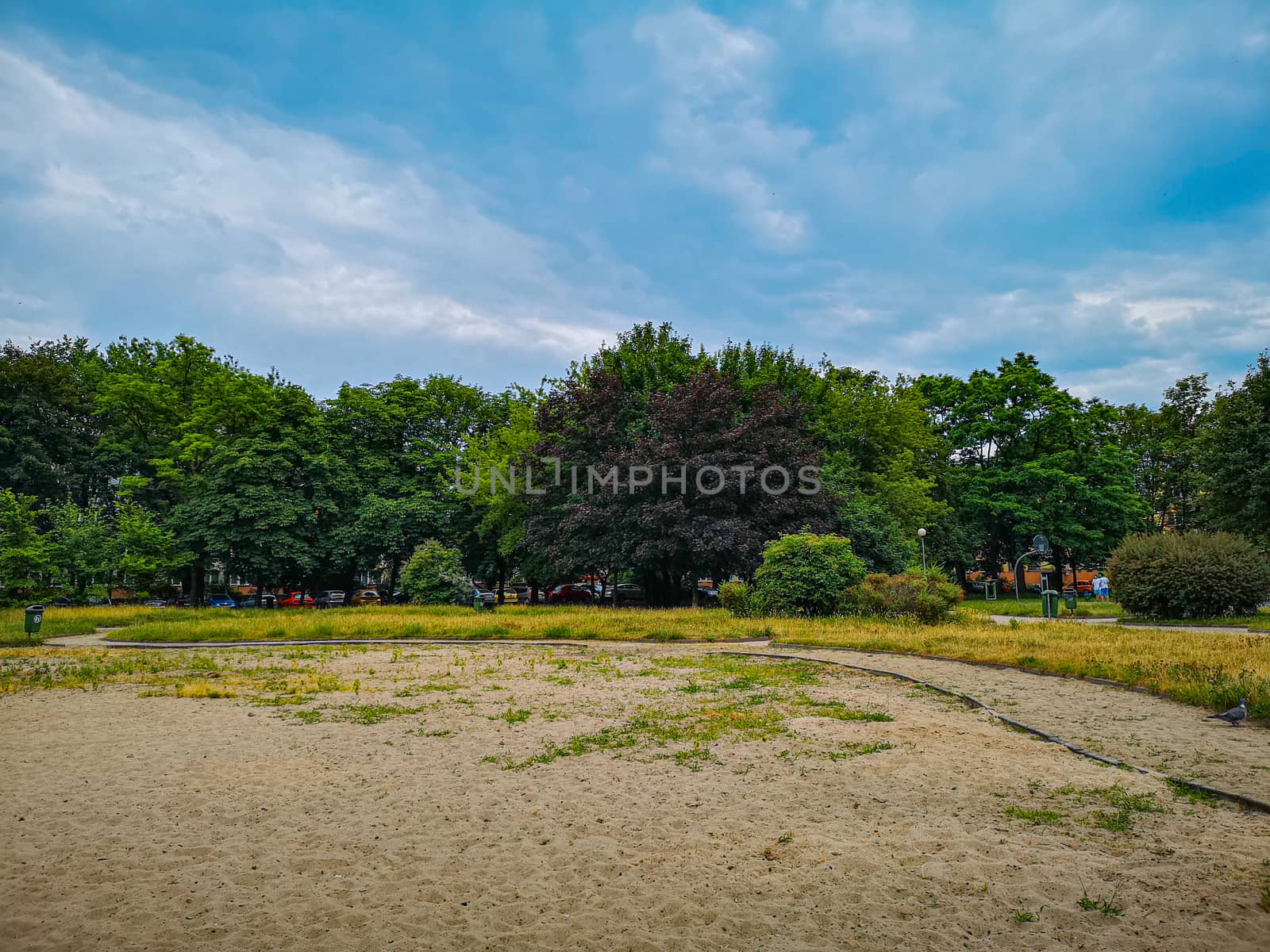 Colorful landscape with blue sky, green trees and sand with growing grass by Wierzchu