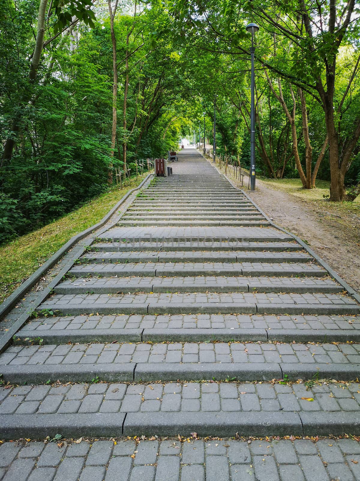 Brick stairway to top of hill with green trees and bushes around by Wierzchu