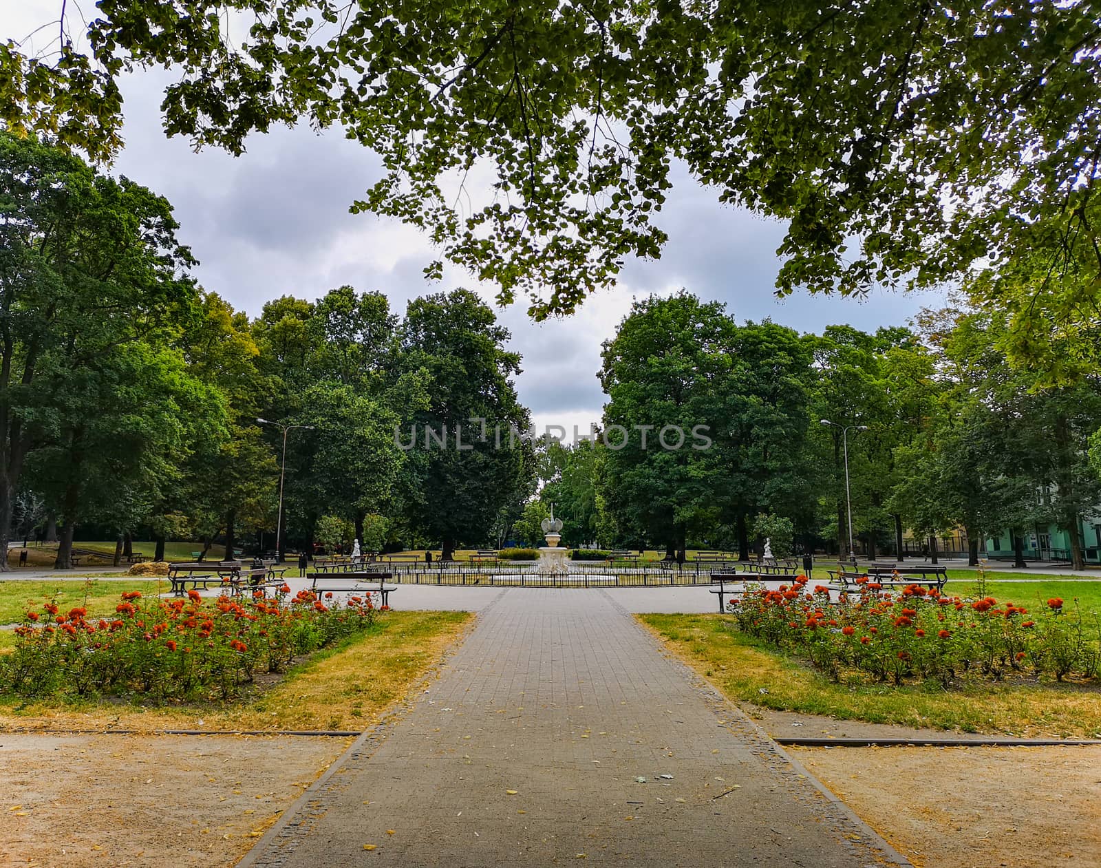 Park center in Lodz city with fountain and colorful flowers by Wierzchu