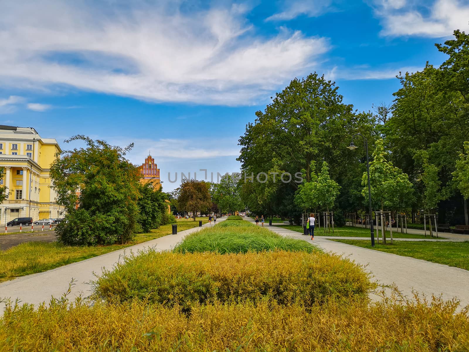 Pathways with colorful path with flowers and bushes between at sunny cloudy day