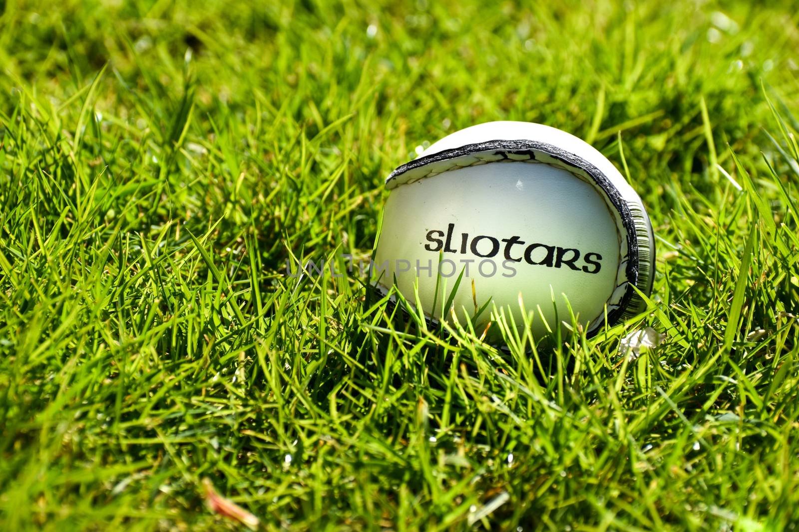 Irish Hurling or Camogie sliotar ball on a grass playing field