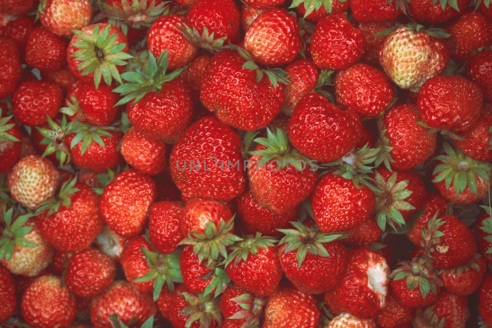 Many strawberries shot from the top