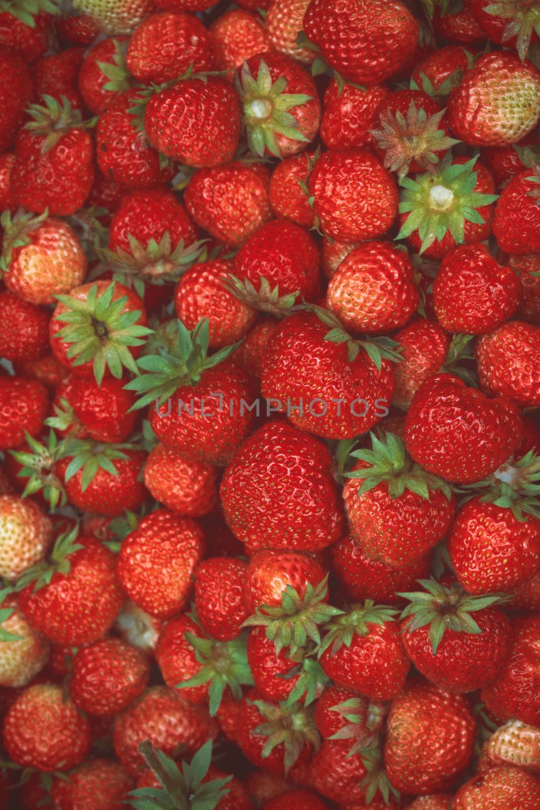 Many strawberries shot from the top by tadeush89