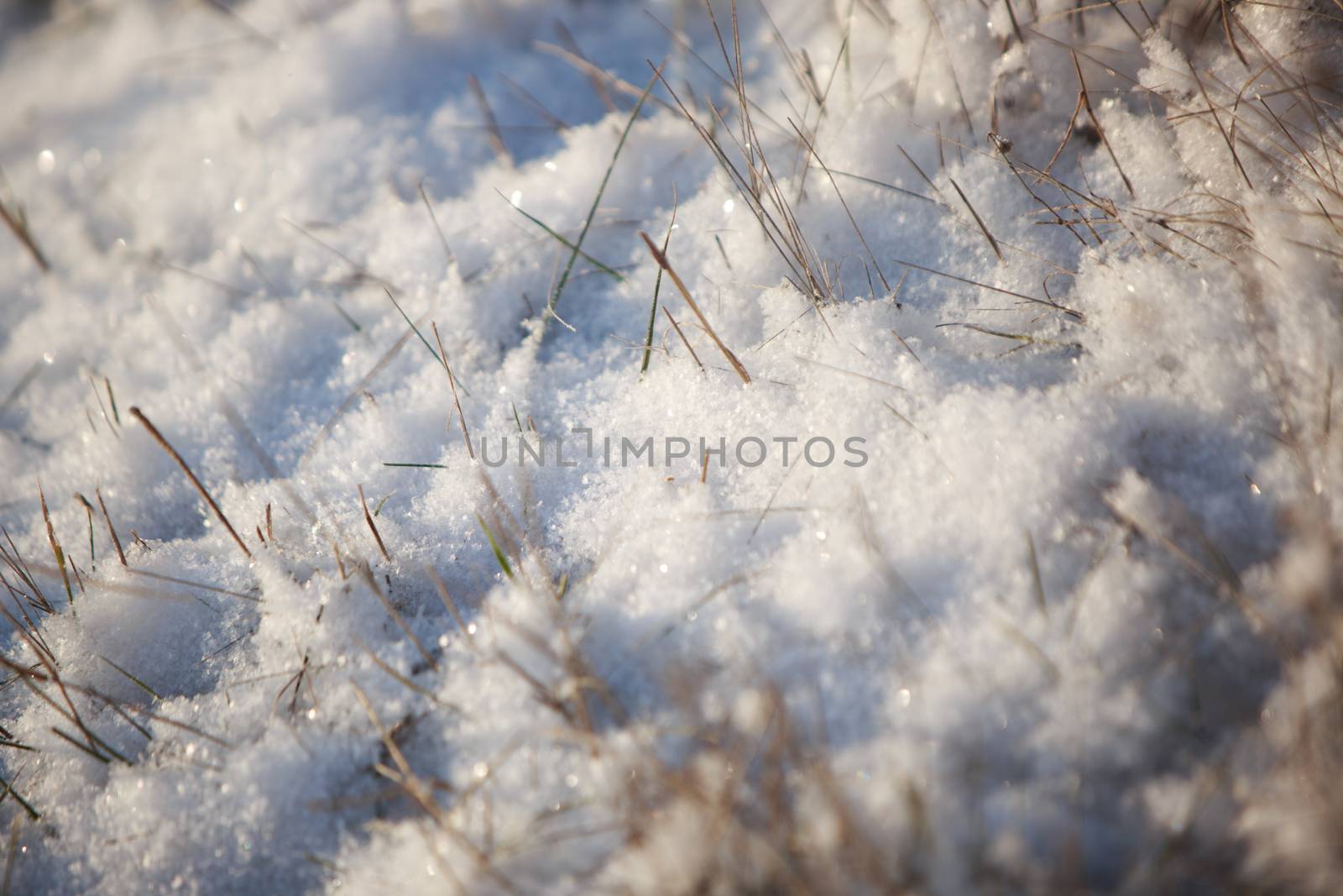 snow  by tadeush89