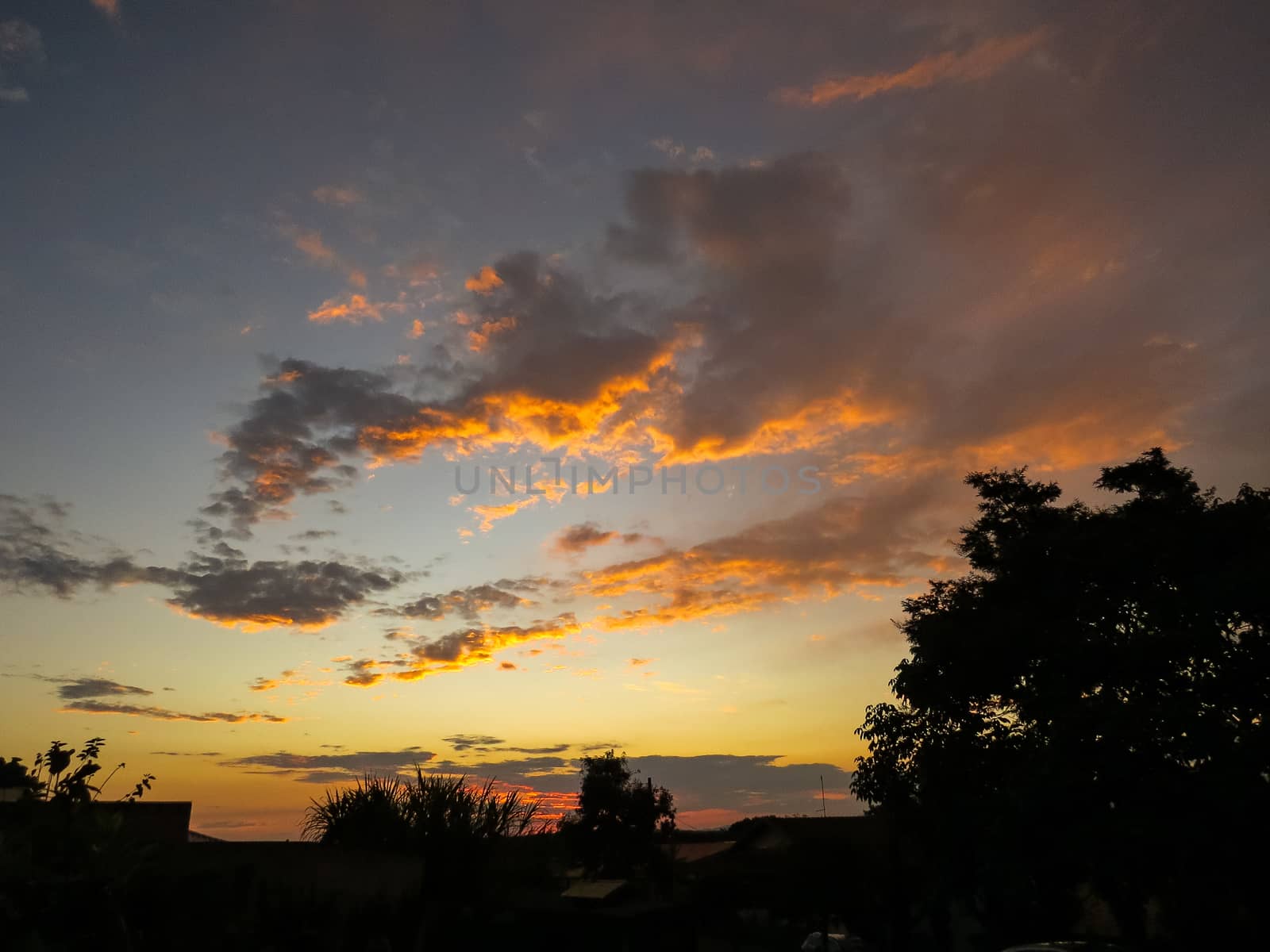 Sunset view with golden clouds and woods silhouetted in the foreground.