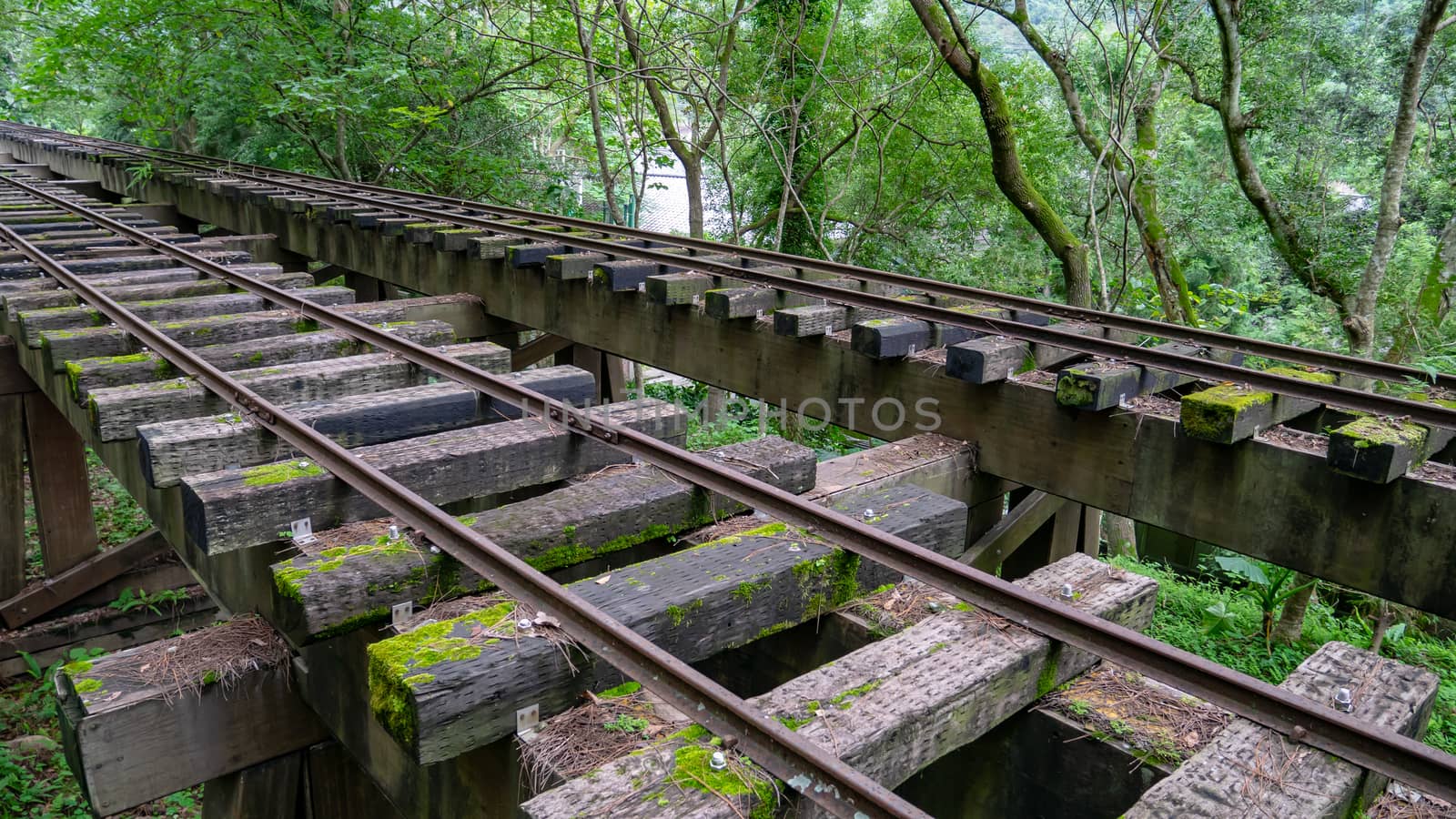 The landscape of old train tracks (railway) railroad bridge in forest background.