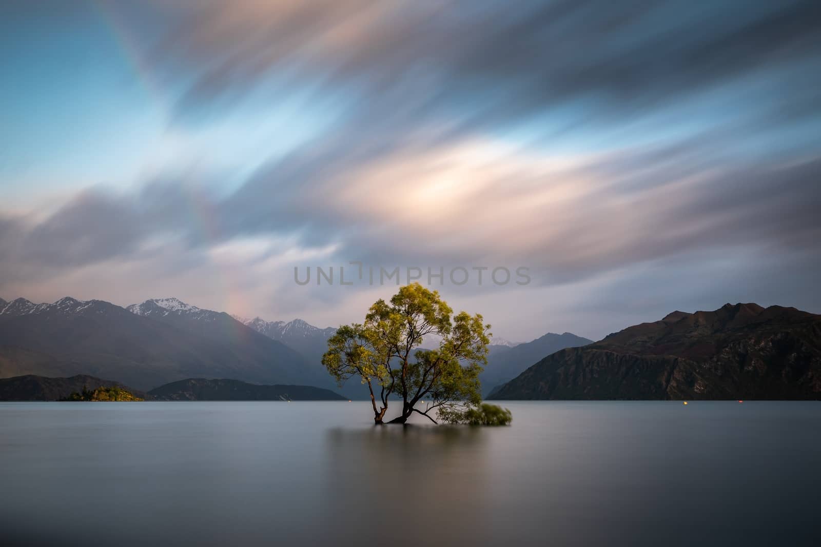 That Wanaka Tree at sunrise | Wanaka, NEW ZEALAND by bhavik_jagani