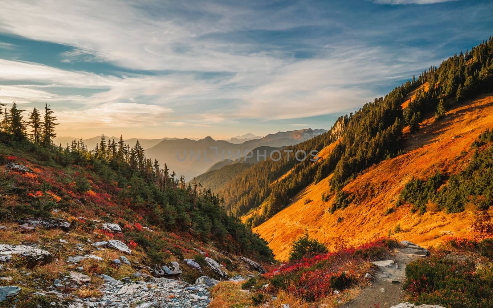 Beautiful autumn landscape with mountains at sunset. Yellow trees on green mountain hills illuminated with sunshine. Fall natural background. by bhavik_jagani