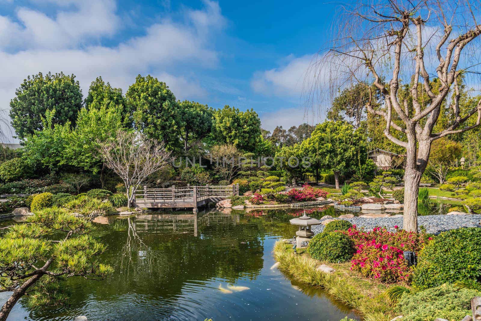 USA Gardens. Pond Bridges. Earl Burns Miller. Japanese Garden. Long Beach Trees Shrubs.