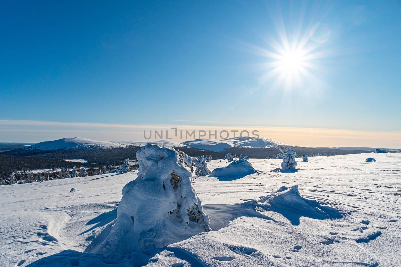 Winter Lapland region with morning sun light. by bhavik_jagani