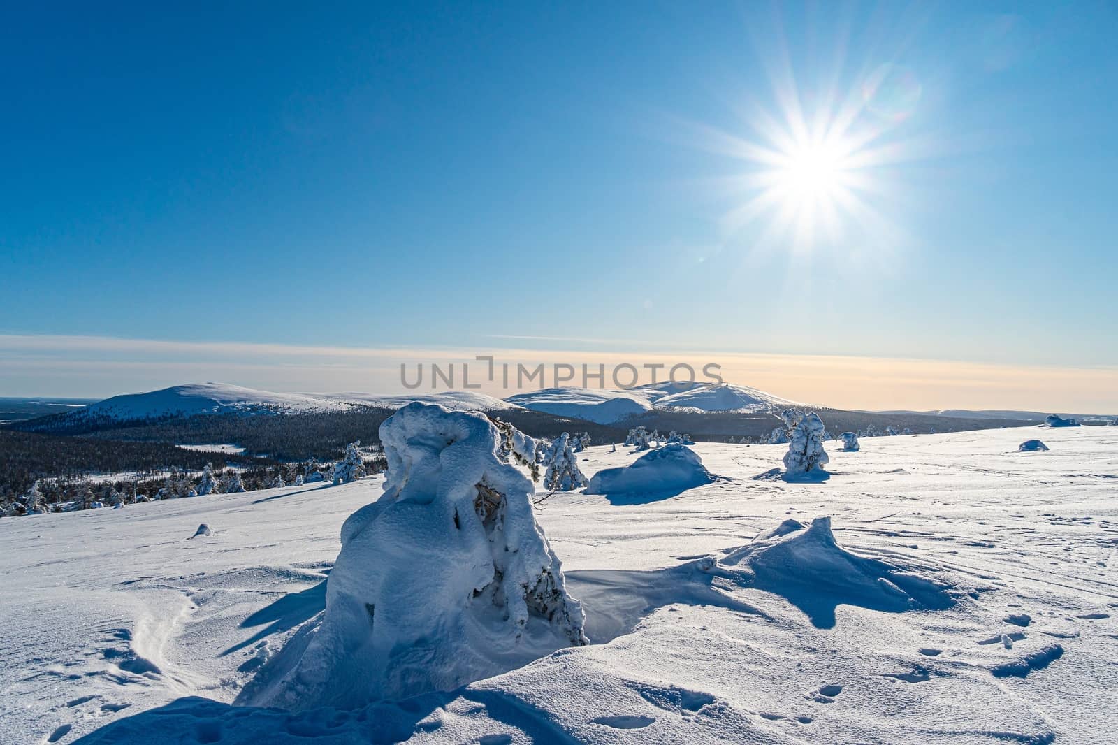 Winter Lapland region with morning sun light.