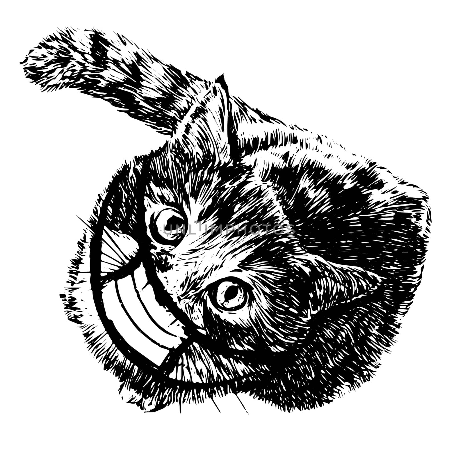 illustration of cat with mask hand drawn  by simpleBE