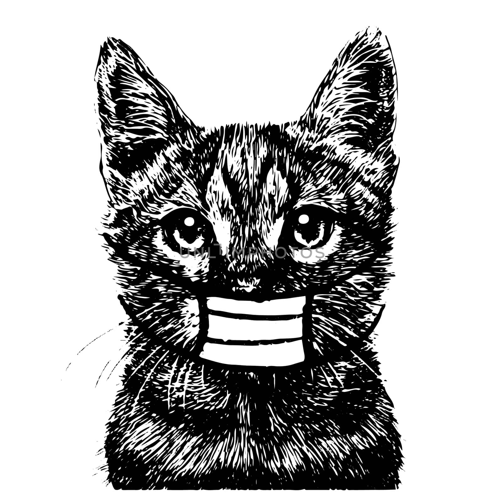 illustration of cat with mask hand drawn  by simpleBE