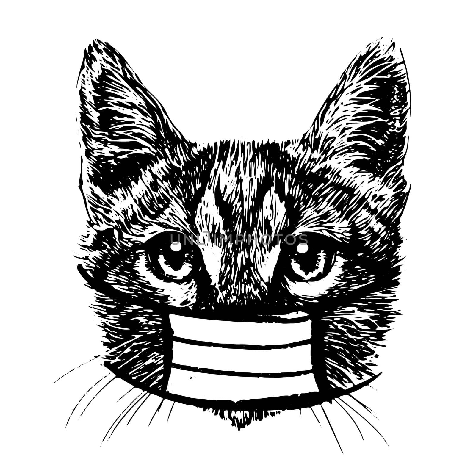 illustration of cat with mask hand drawn isolated on white background