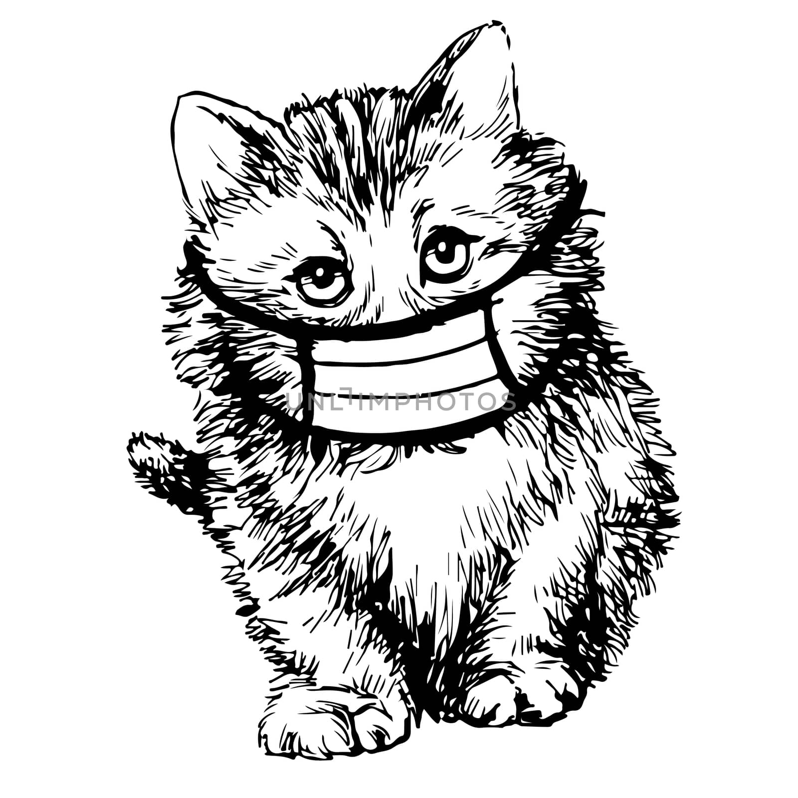 illustration of cat with mask hand drawn  by simpleBE