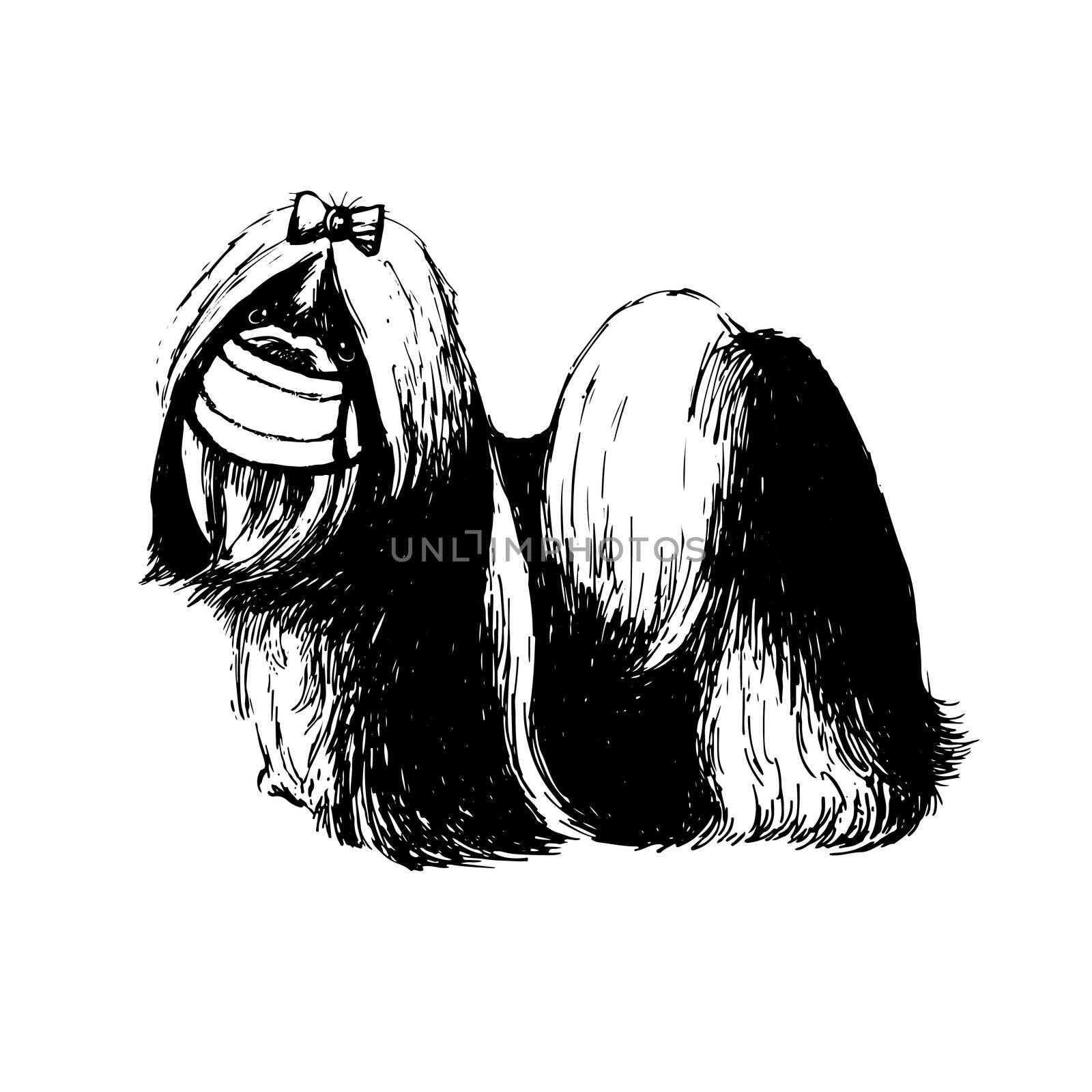 illustration of Shih Tzu dog with mask by simpleBE