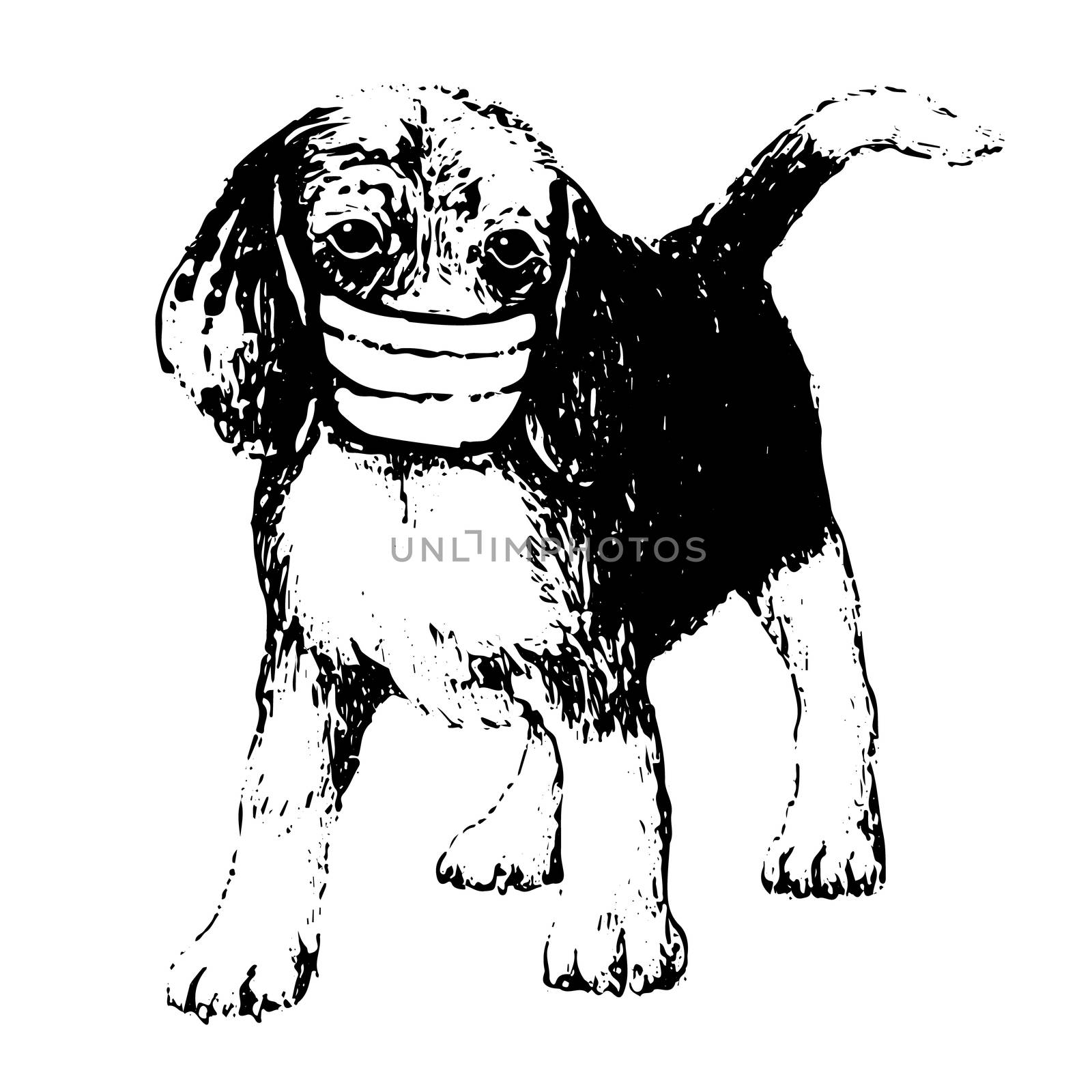 illustration of Beagle dog with mask by simpleBE