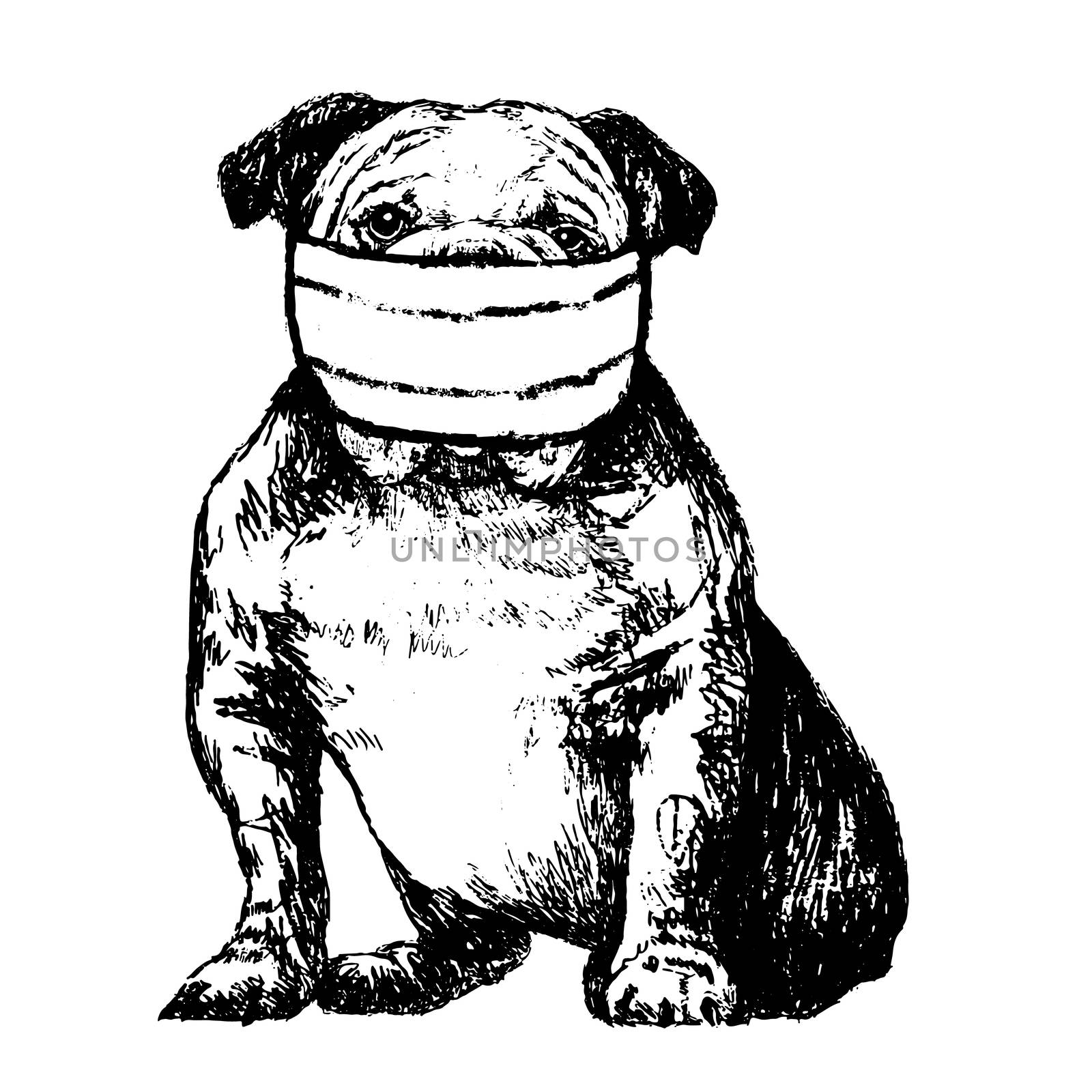 illustration of Bulldog with mask by simpleBE