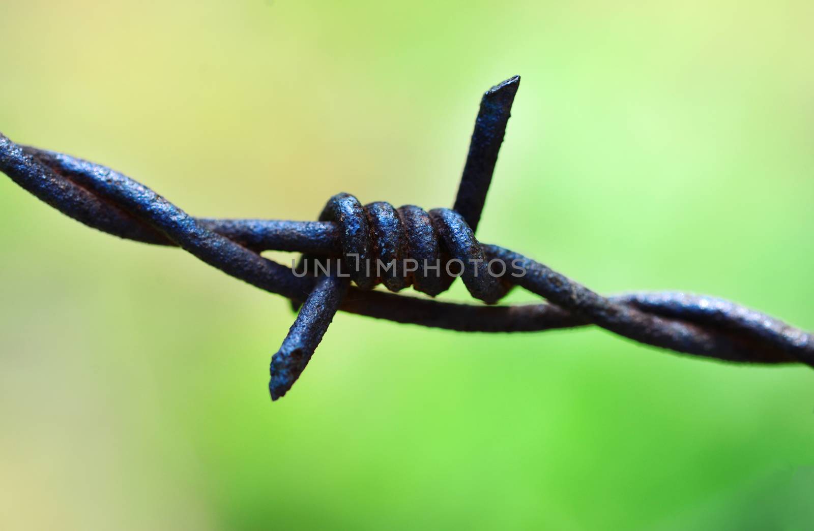 barbed wire macro by tony4urban