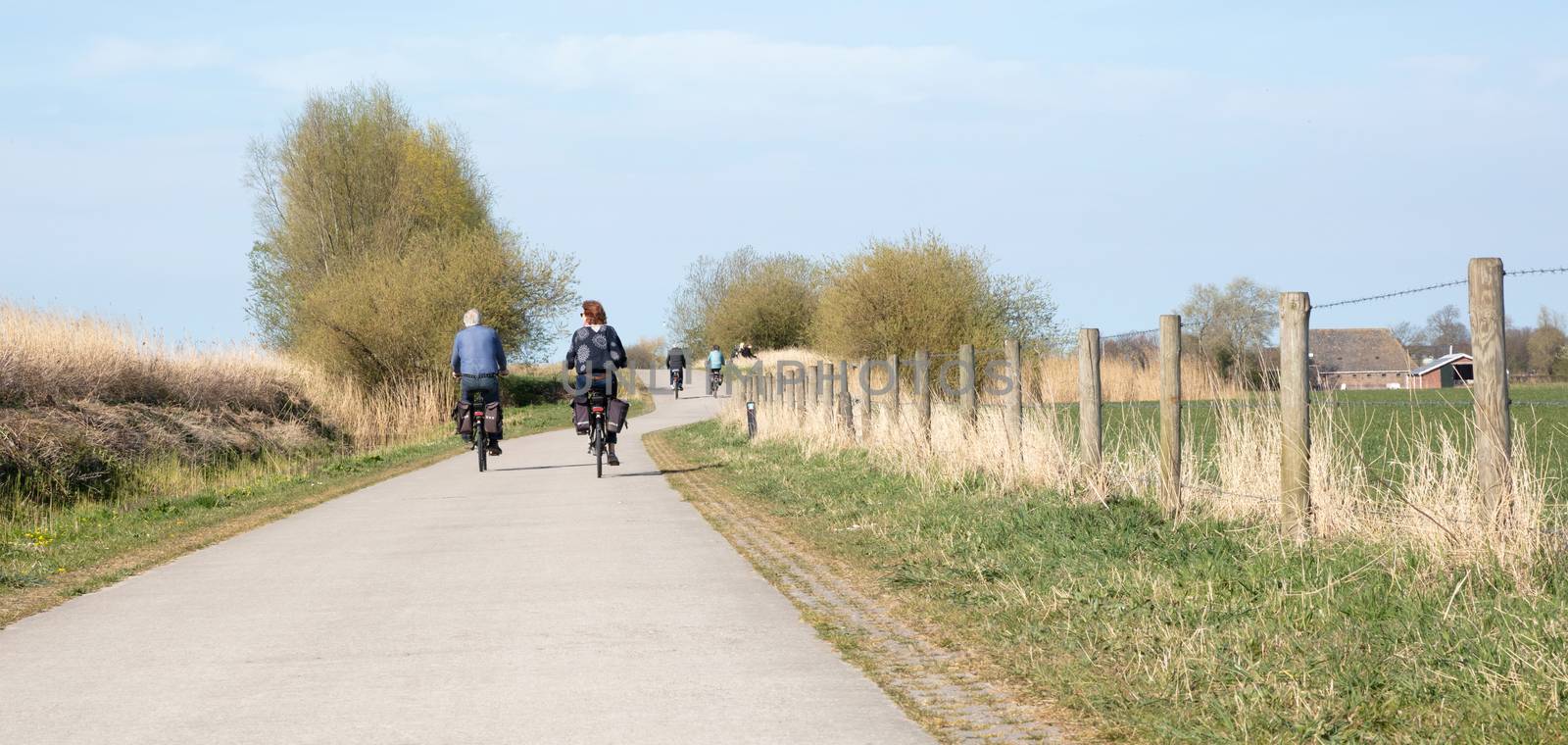 Rear view of people riding bikes on bicycle path by michaklootwijk