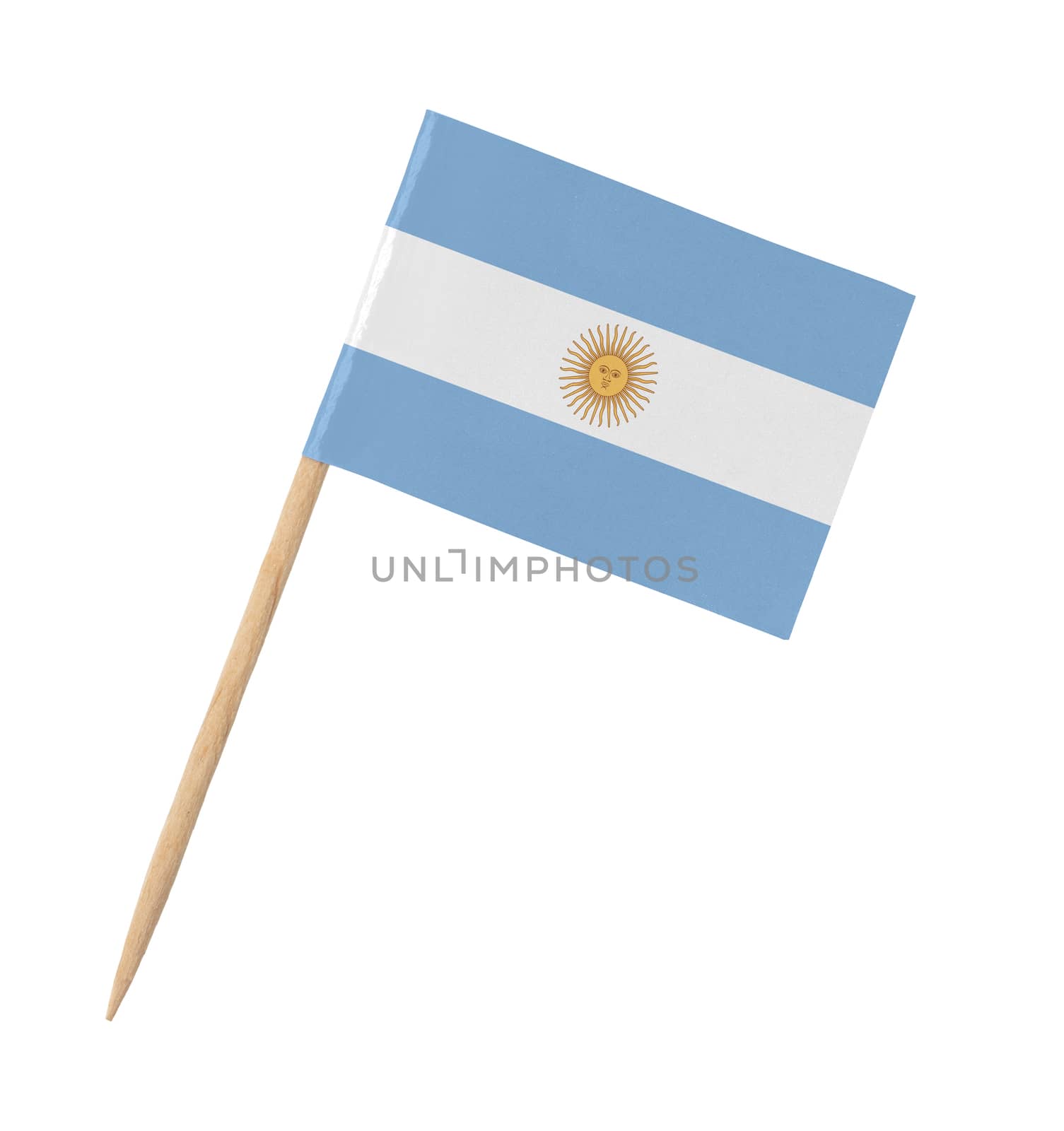 Small paper Argentinian flag on wooden stick, isolated on white