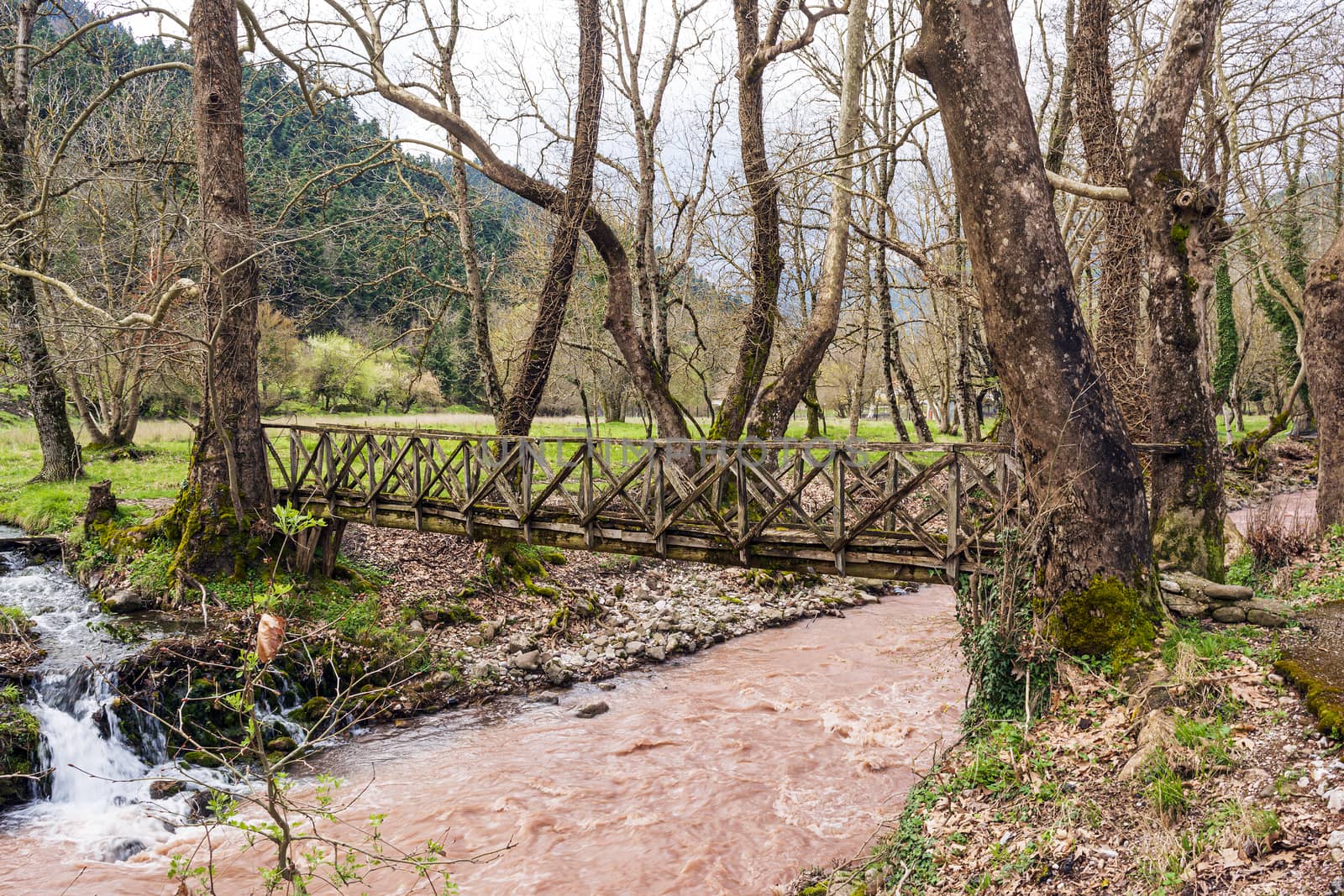 Wooden bridge at Evrytania, Greece by ankarb