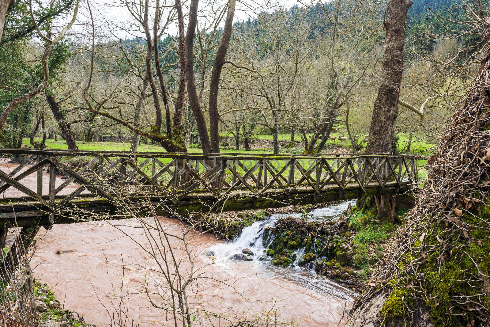 View of a small wooden bridge at Evrytania, Greece