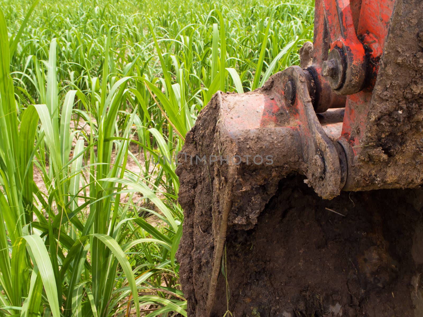 Clay at the bucket of tracked excavator and Sugarcane farm by Satakorn