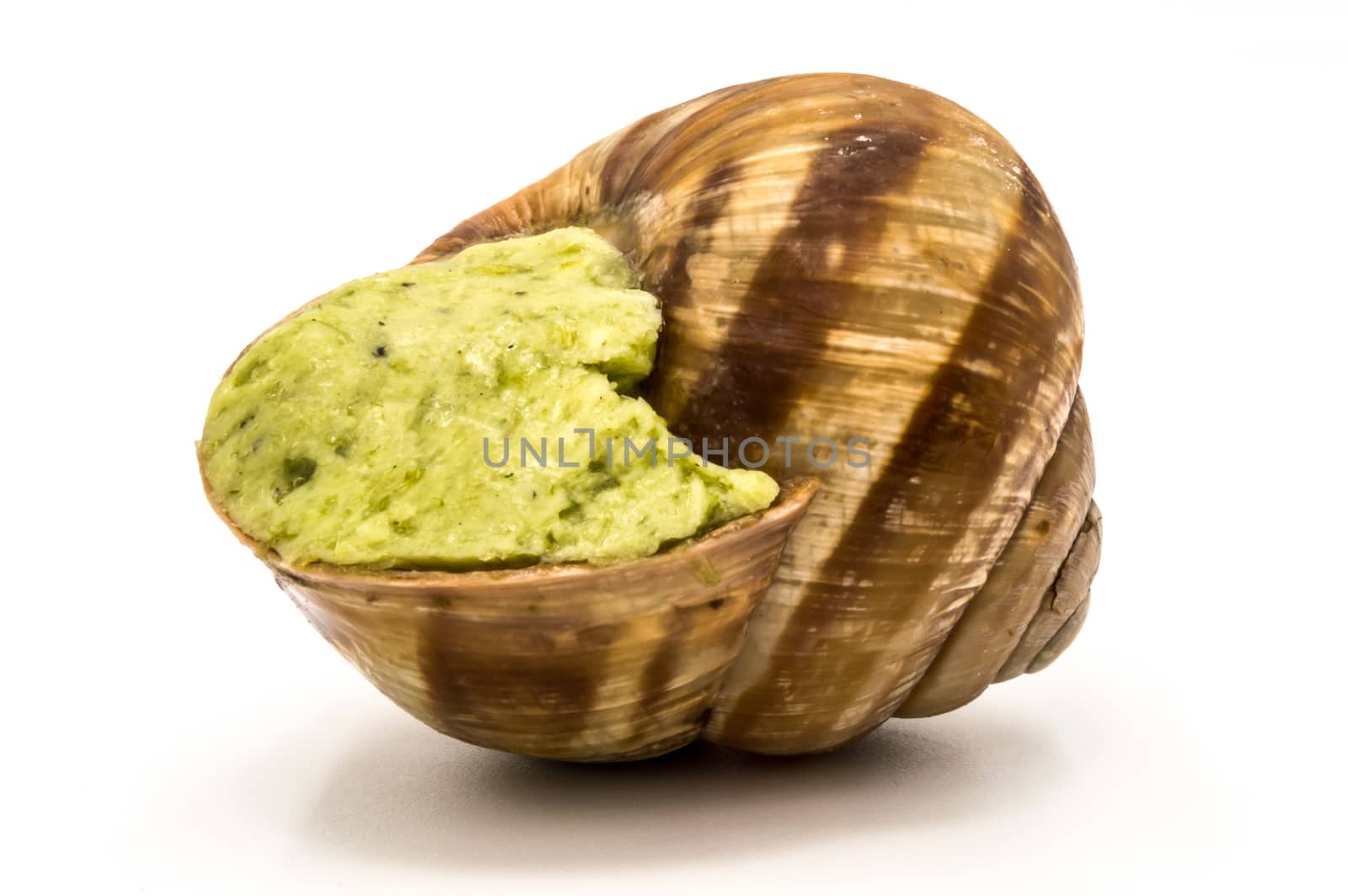 Close up on a garlic snail on a white background