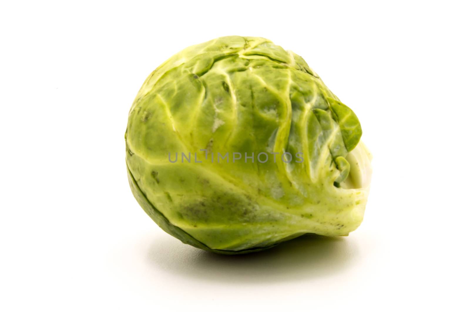 One of Brussels sprouts on white background