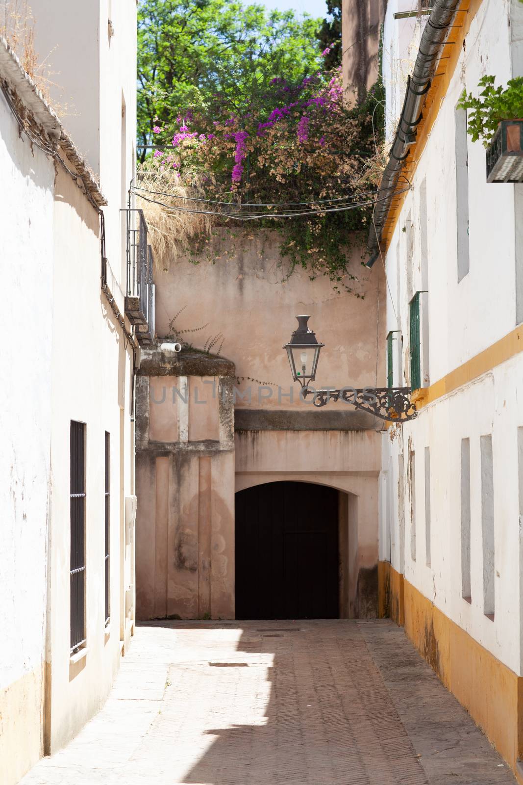 Seville, Spain - 29 July 2013: street in juderia, jewish neighborhood