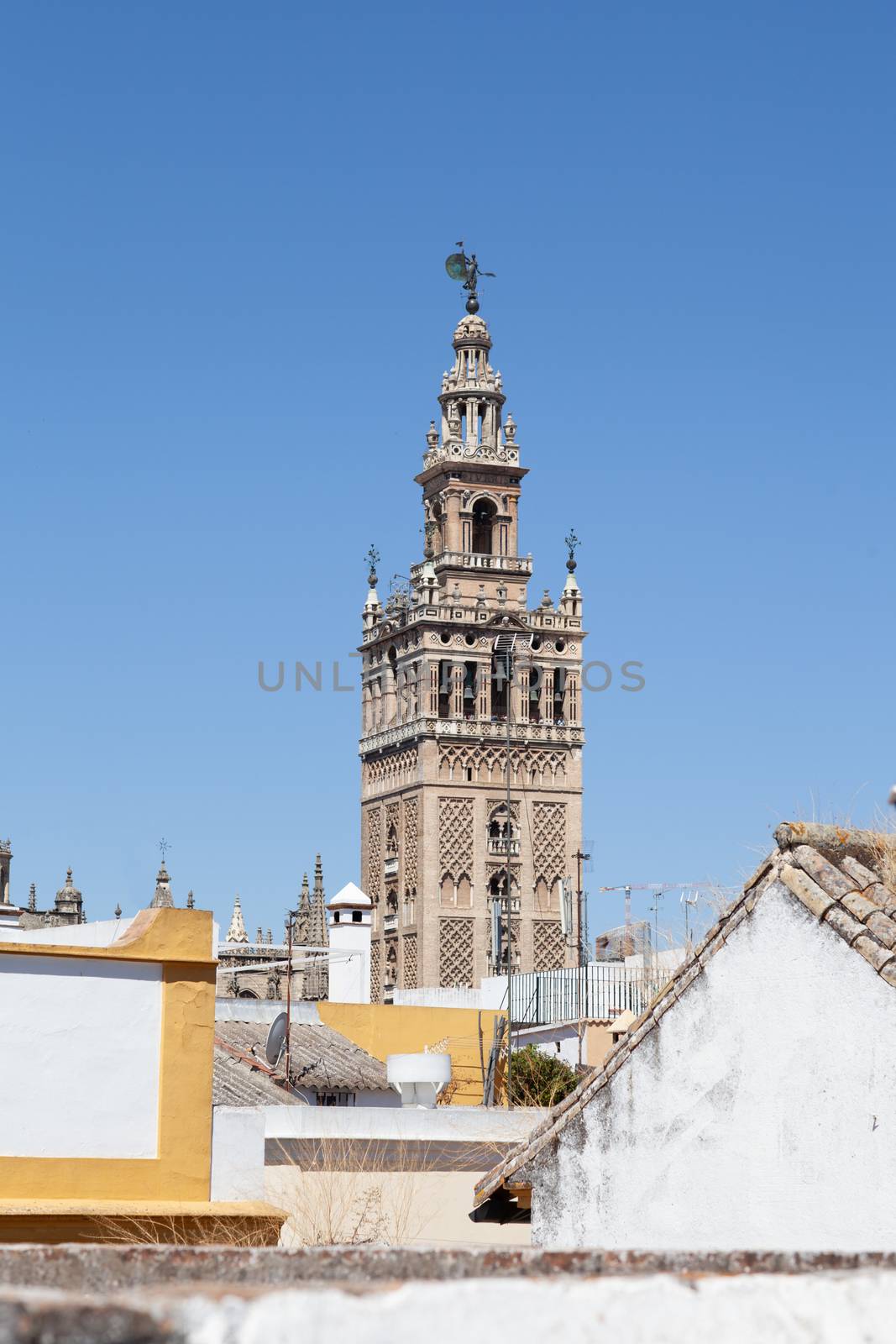 Seville, Spain- 29 July 2013: Giralda belll tower of Seville Cathedral